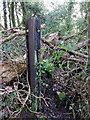 Broad gauge railway line post