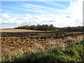 Farmland south of the village of Sharrington