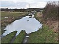 Reivers Cycle Route west of Darras Hall