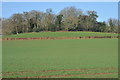 Site of Motte and Bailey, Llangibby