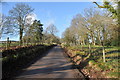 Driveway to Llangibby Castle Farm