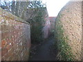 Footpath in Carlton le Moorland