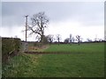 Footpath To Coton