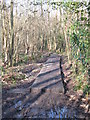 More duckboards in a damp part of Padmall Wood