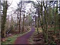 Cumbernauld, Glencryan Woods