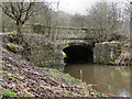 River Medlock: Fenny Field Bridge