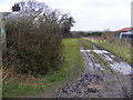 Bridleway to Low Grange Farm