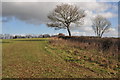 Farmland near Coed-y-Paen