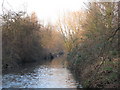 The Pool River east of Riverview Park, SE6 (4)