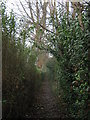 Footpath to the A258 Deal Road