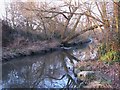 The Pool River east of Datchet Road, SE6 (2)