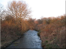 TQ3772 : The Pool River north of the bridge east of Winsford Road, SE6 (2) by Mike Quinn