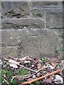 Shirehampton, cut bench mark on railway bridge