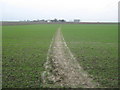 Footpath to Black Pond Farm