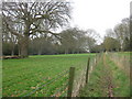 Footpath past Ringleton Manor