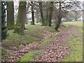 The Kyd Brook - Main Branch, Farnborough Recreation Ground