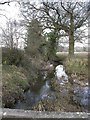 Bisterne, stream