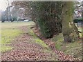 The Kyd Brook - Main Branch, Farnborough Recreation Ground (8)