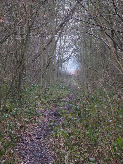 The River Ravensbourne - East Branch,... © Mike Quinn cc-by-sa/2.0 ...