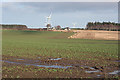 Looking towards Rowantree