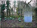 Cemetery, Sapperton