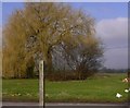 Footpath in Heyshott