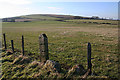 Hill of Culbirnie