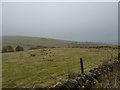 Ringstone Clough