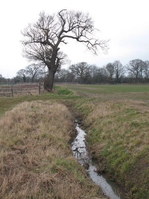 Drain on Bromley Common north of Scrubs Farm (4)