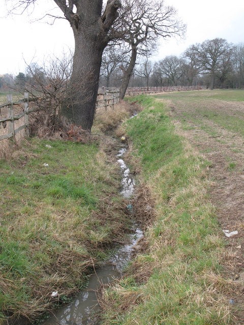 Drain on Bromley Common north of Scrubs Farm (6)