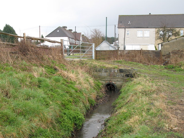 Drain on Bromley Common north of Lower Gravel Road, BR2