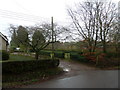 Winter trees opposite Saint Swithun, Martyr Worthy