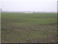 Farmland off Barlow Common Road