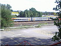 Train passing by Alexandra Road