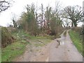 Green lane near Holbrook Farm