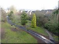 Banks of the Cadzow Burn, Hamilton