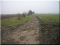 Farm track, West Cowick (footpath)