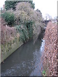TQ3671 : The Pool River south of Southend Lane (2) by Mike Quinn