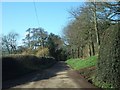 SS9900 : Road to Beare from Frogmore by David Smith