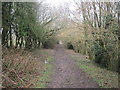 Bridleway leading towards the River Ely