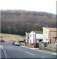 Wooded hillside viewed from March Hywel, Cilfrew