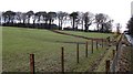 NT0046 : New fencing, Broomhill by Richard Webb