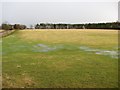 Flooded field,Park