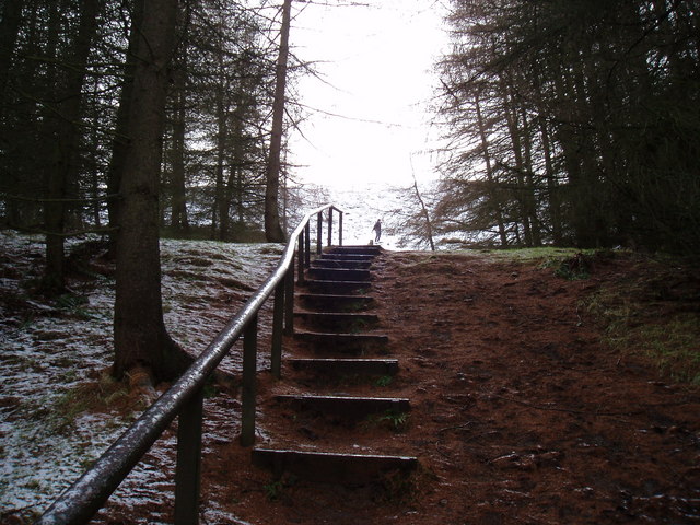 Hill track stairway