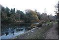 Lake in Vinters Valley Nature Reserve