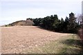 Hill above Tal-y-bont