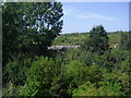 Fields by Berrylands sewage plant