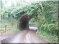 Bridge carrying dismantled railway