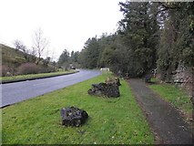 H3462 : Tummery Road, Dromore by Kenneth  Allen