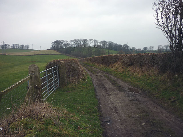 Track to Bottomdale Road from Beaumont